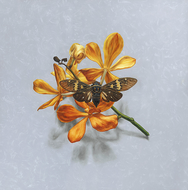 Gold Vanda Inverse Wings by Alex Louisa | Lethbridge Gallery